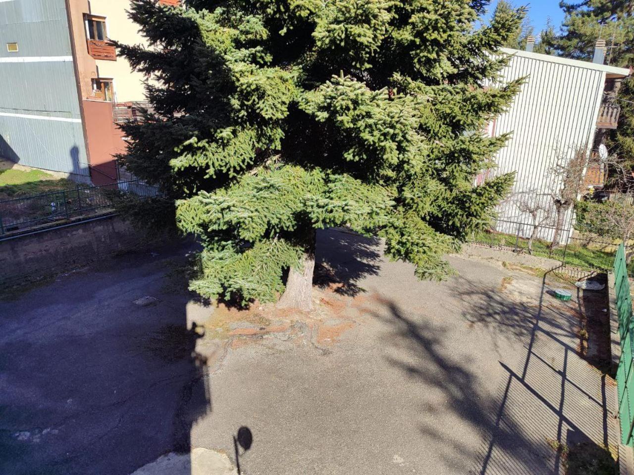 Madresila Home Camigliatello Silano Esterno foto